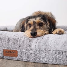 Wombat Pet Bed